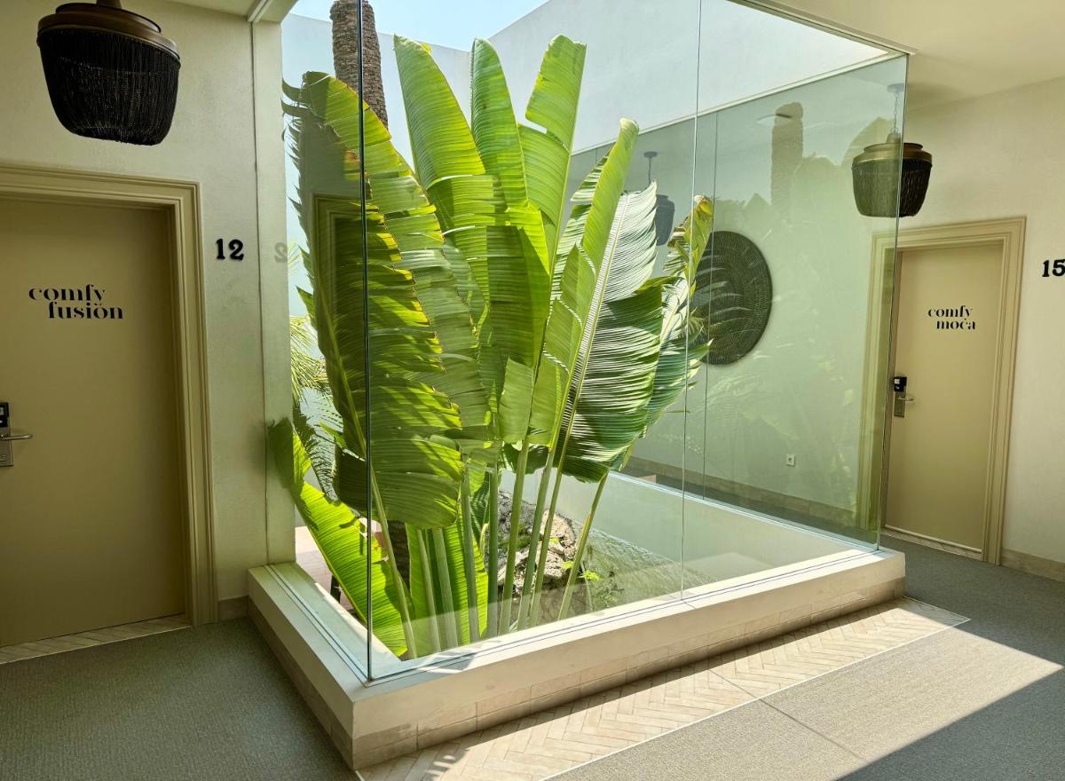 Imagen de la galería de Comfy Studios Hotel, en Benalmádena