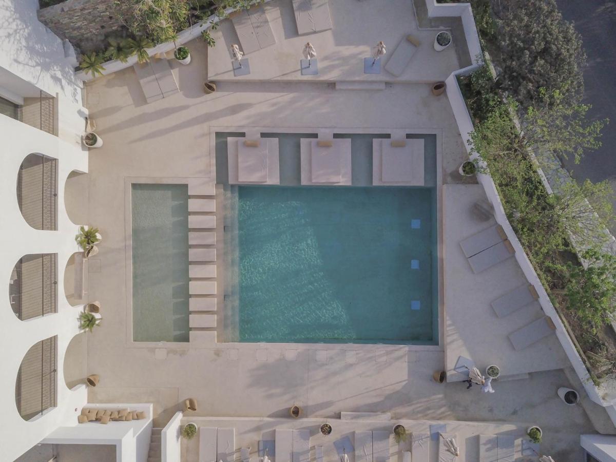 une vue aérienne d'une piscine dans un immeuble dans l'établissement Misincu, à Cagnano 37 autres photos