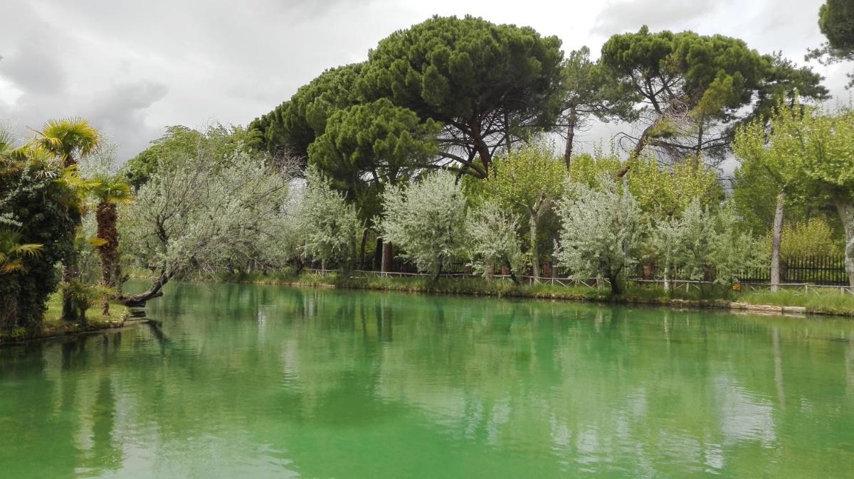 Paisaje cerca de este hotel