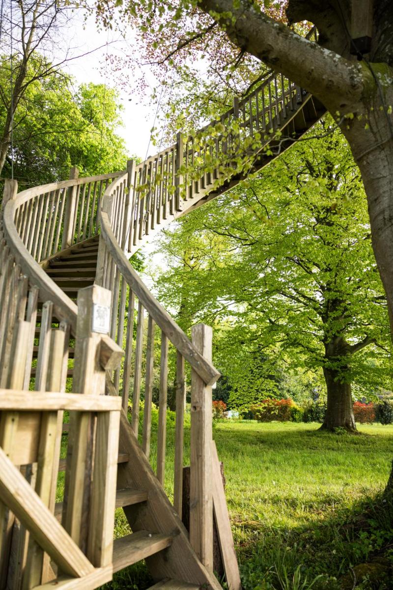 Jardin de l'établissement Chateau d'Audrieu