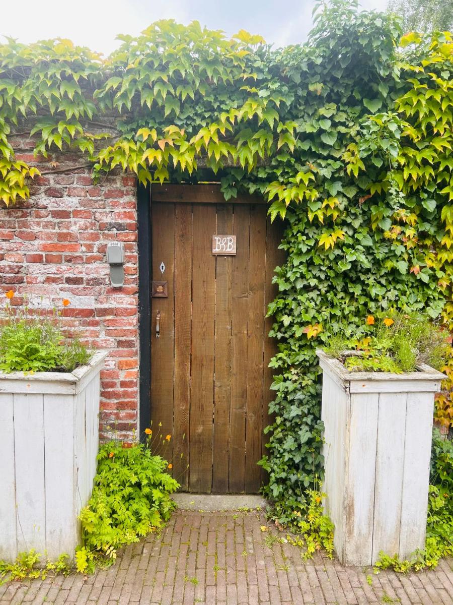 Tiny House Andersom Anders - Housity