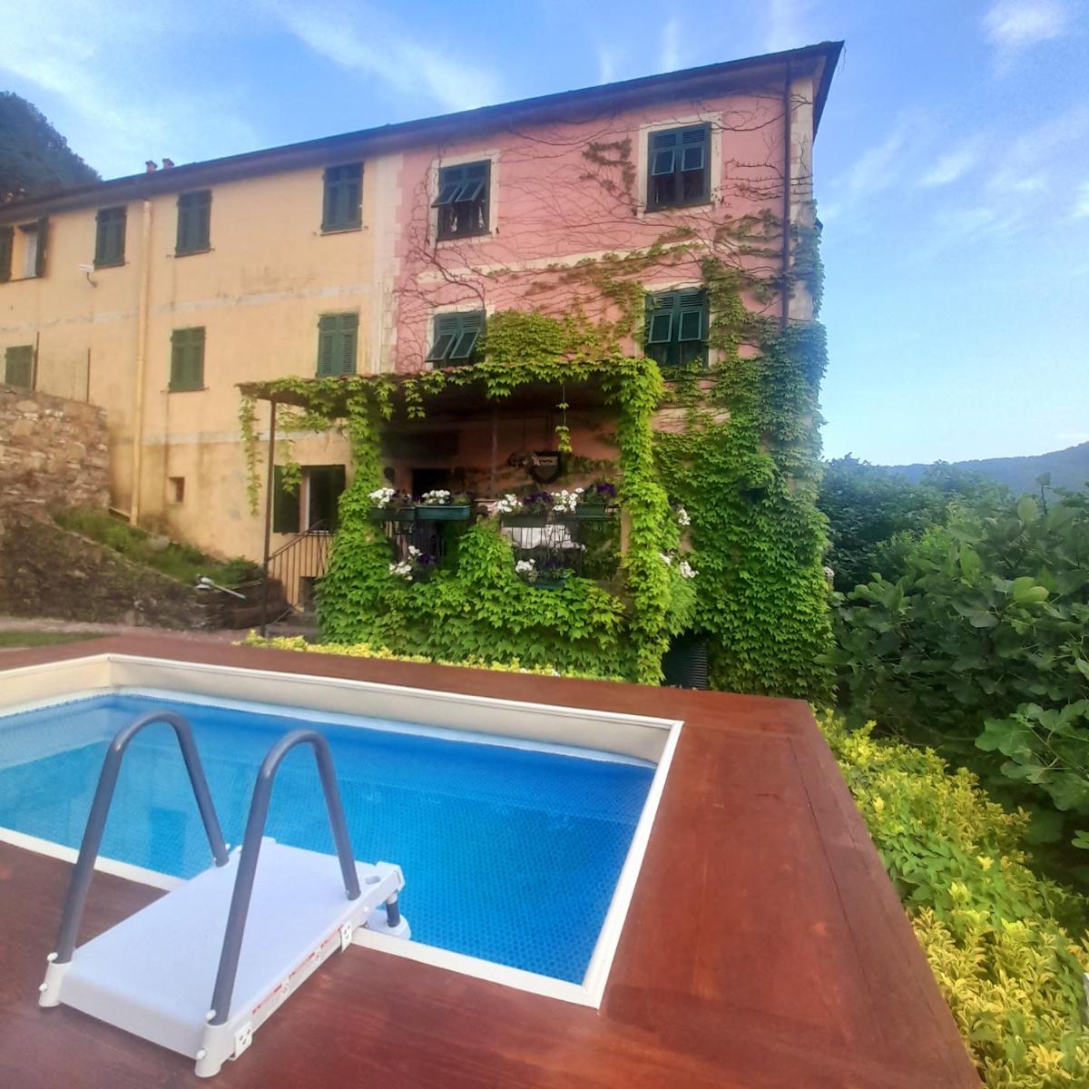 Il Maestro di Tourlach - Housity