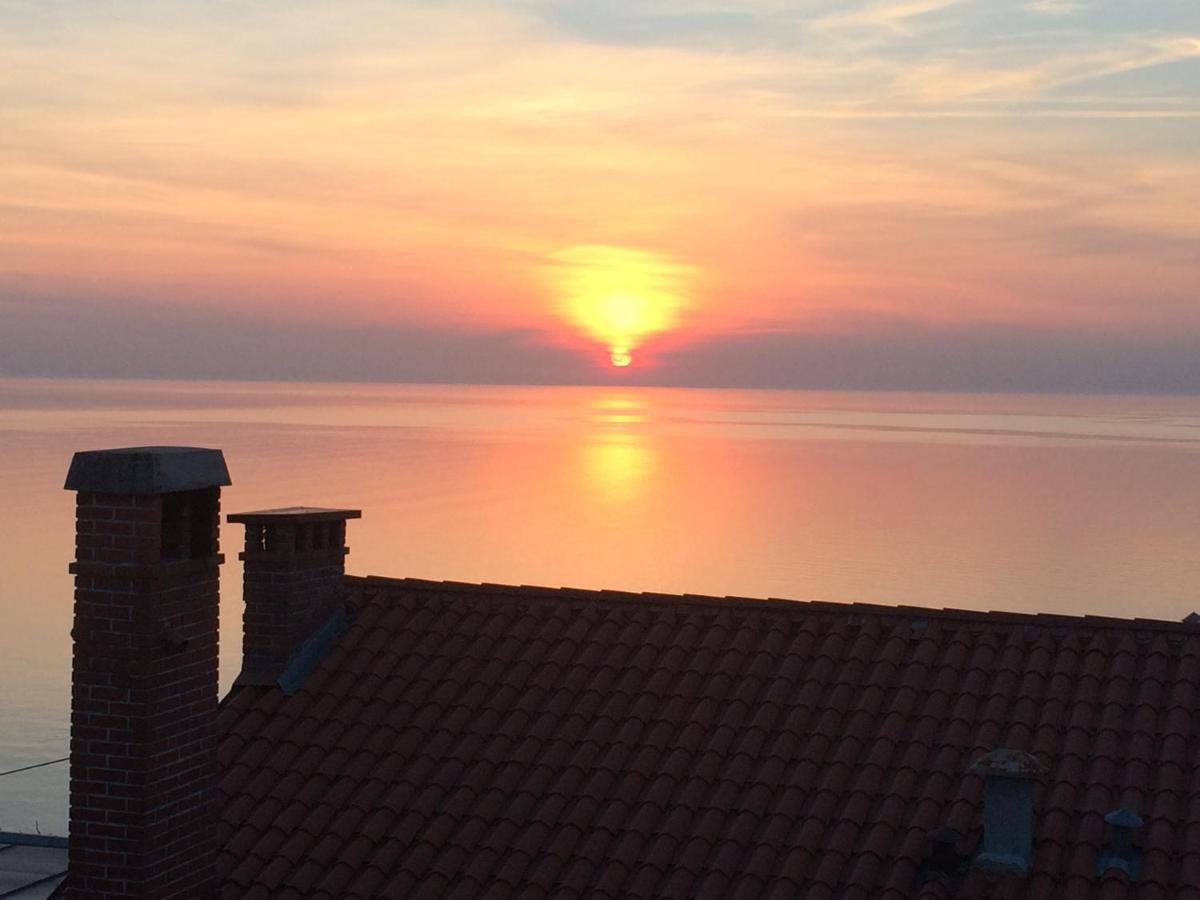 Apartments Mirjana - Housity