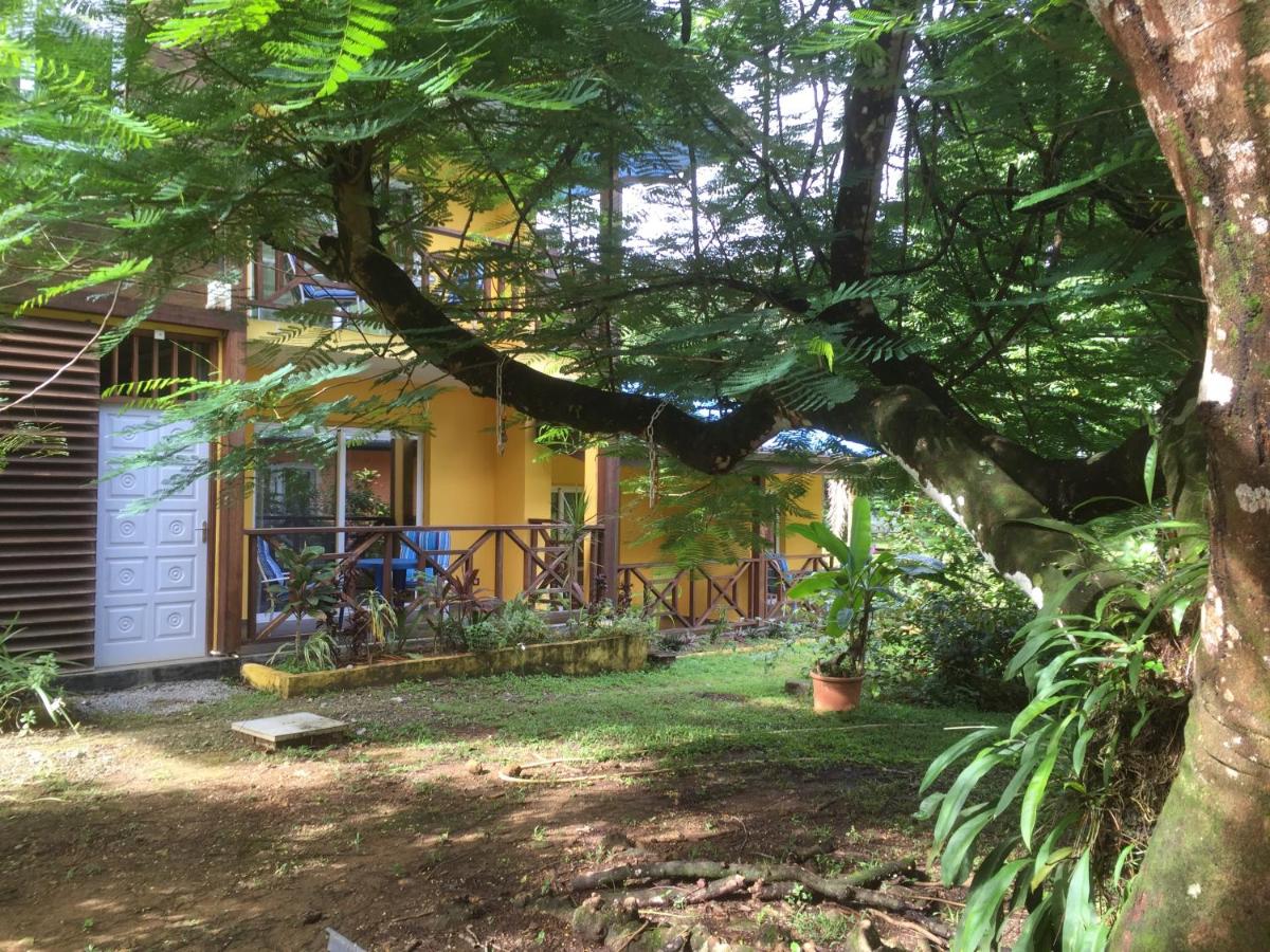 Hotel L'ebene Verte - Housity