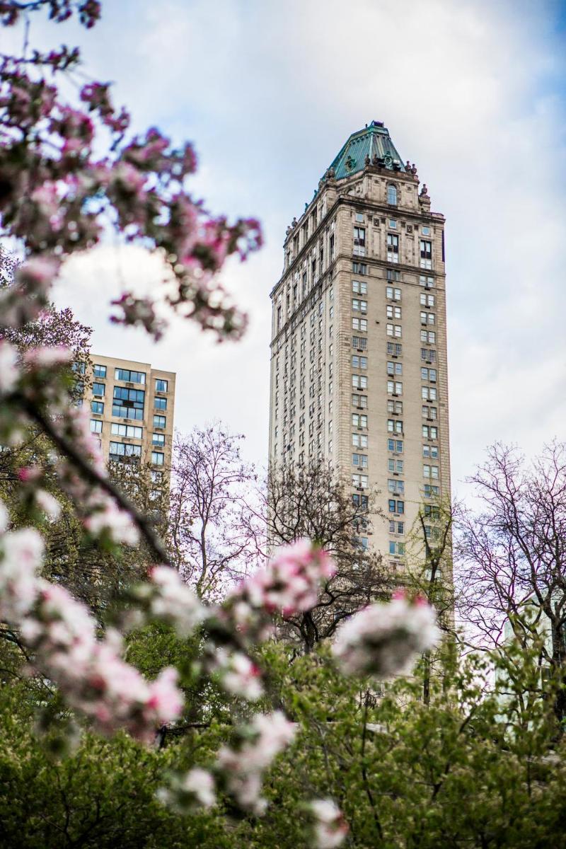 Suitetrails - The Pierre, A Taj Hotel, New York