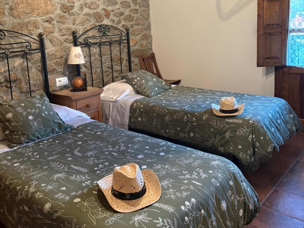 La Luciérnaga - Housity