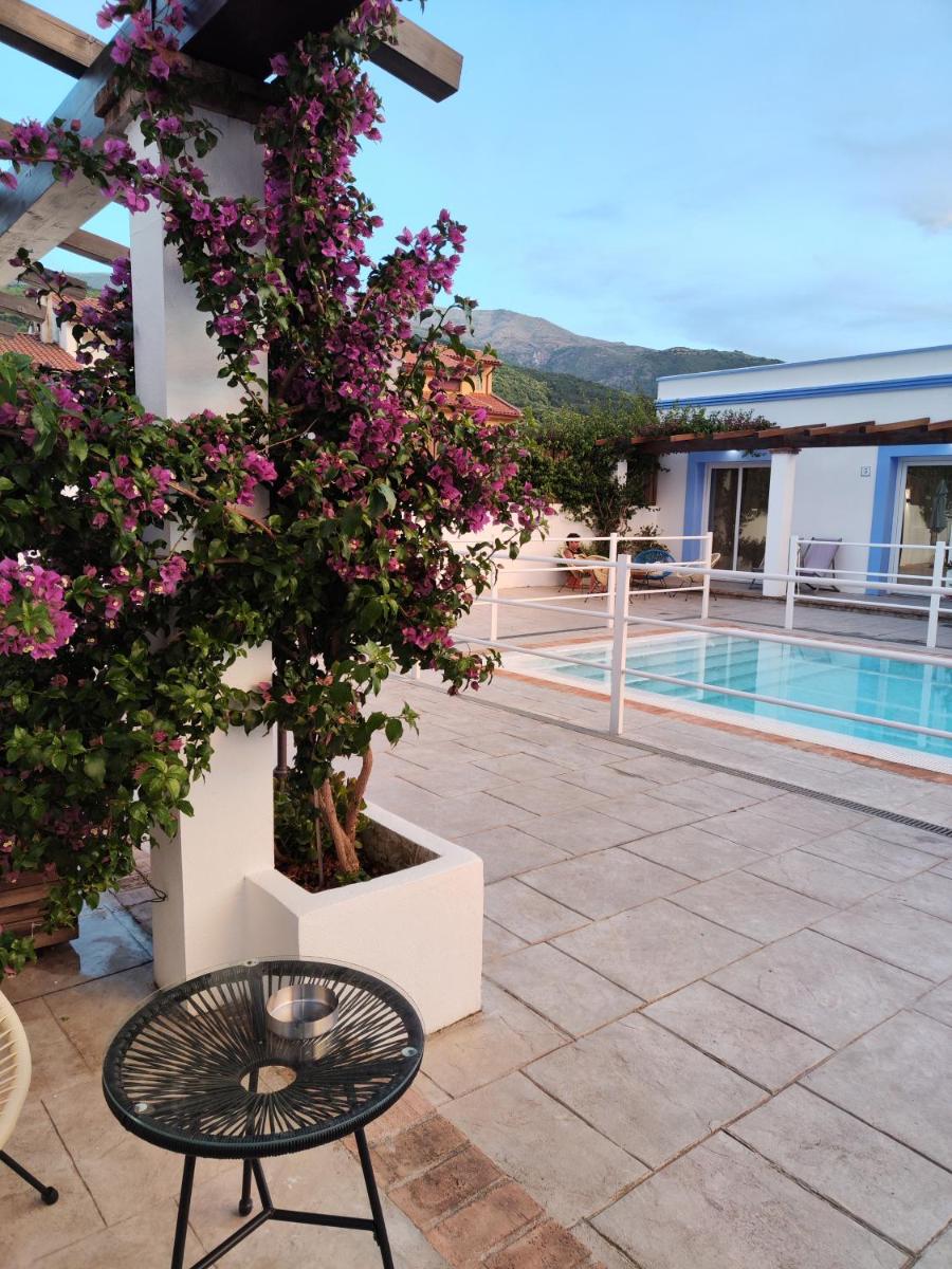 Apartamentos Atenea Jerte - Housity