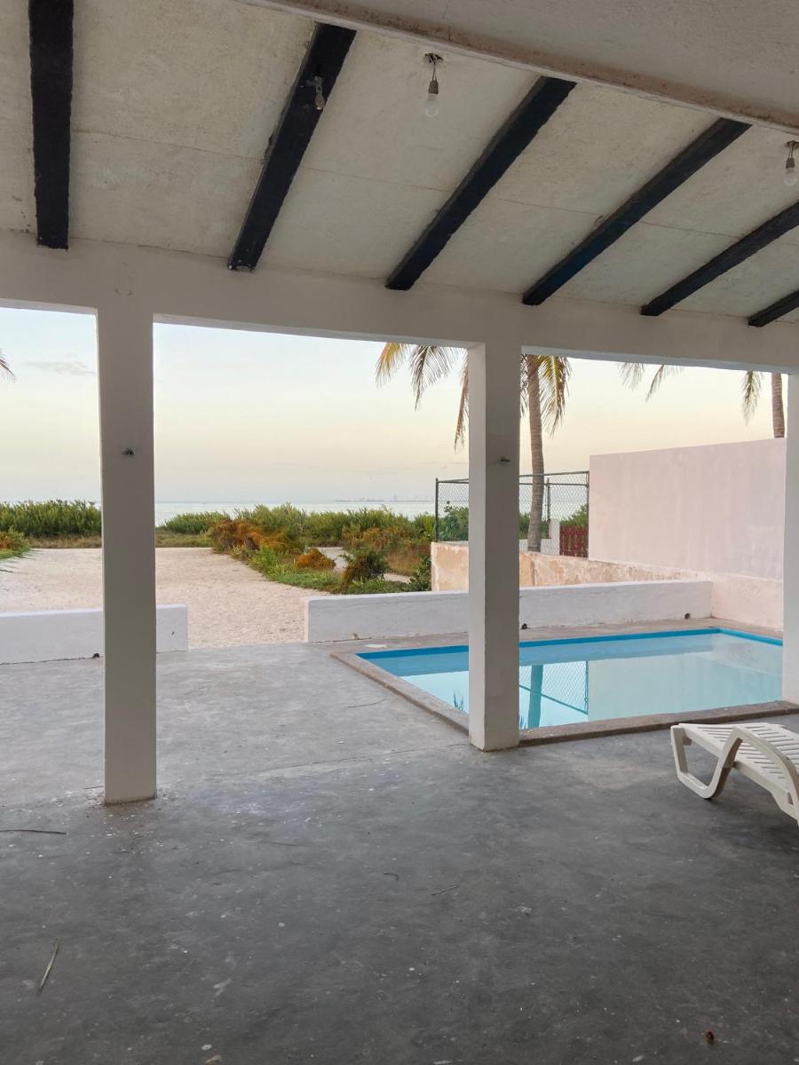 Beachfront house with pool - Housity