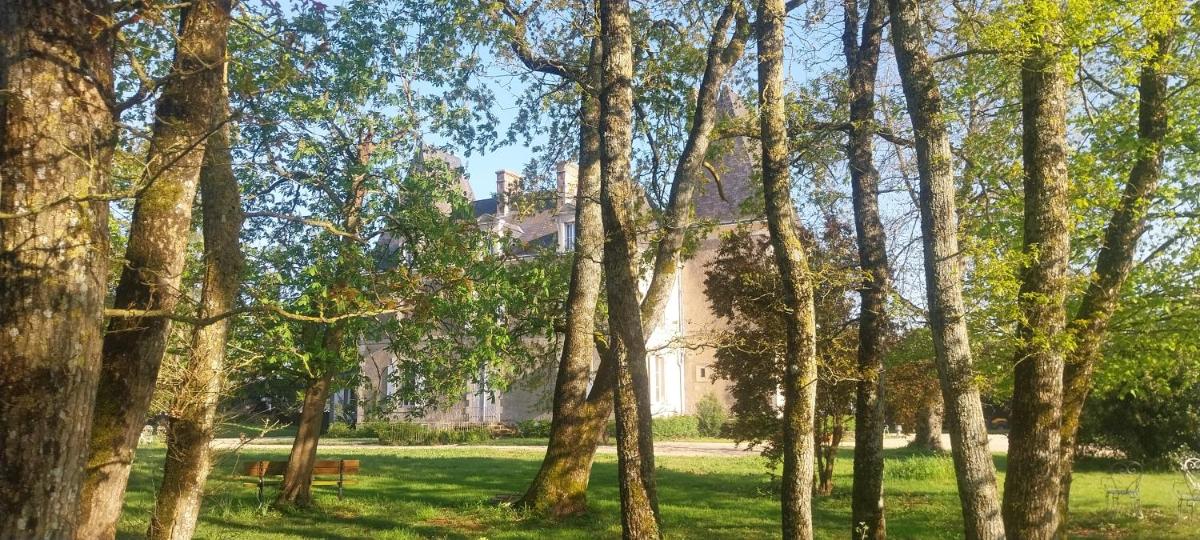 Château de Bellevue - Appartement - Housity