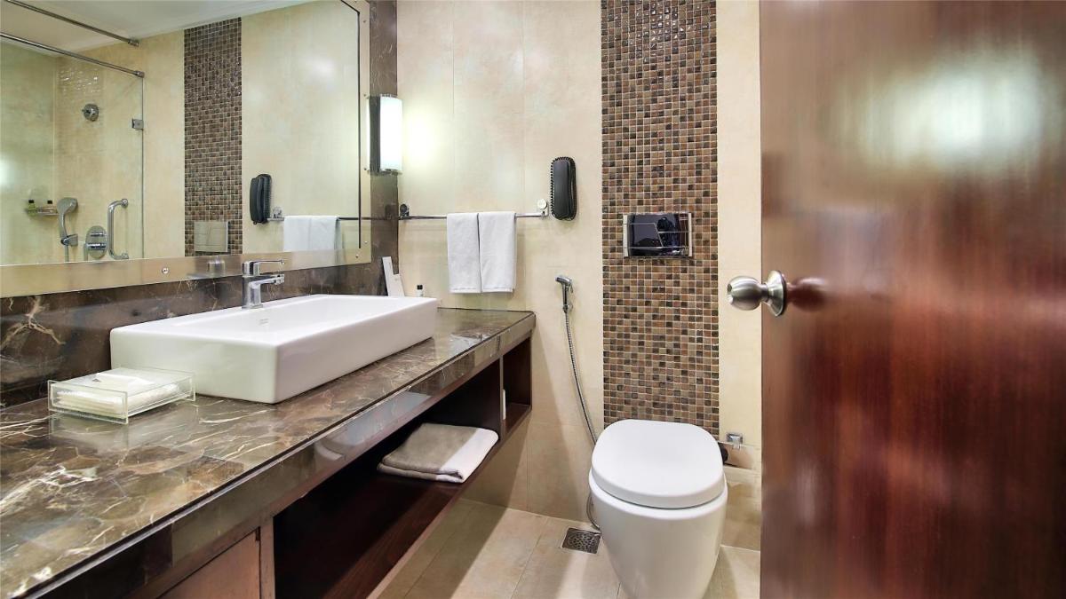 a bathroom with a sink and a toilet at Radisson Jaipur City Center in Jaipur