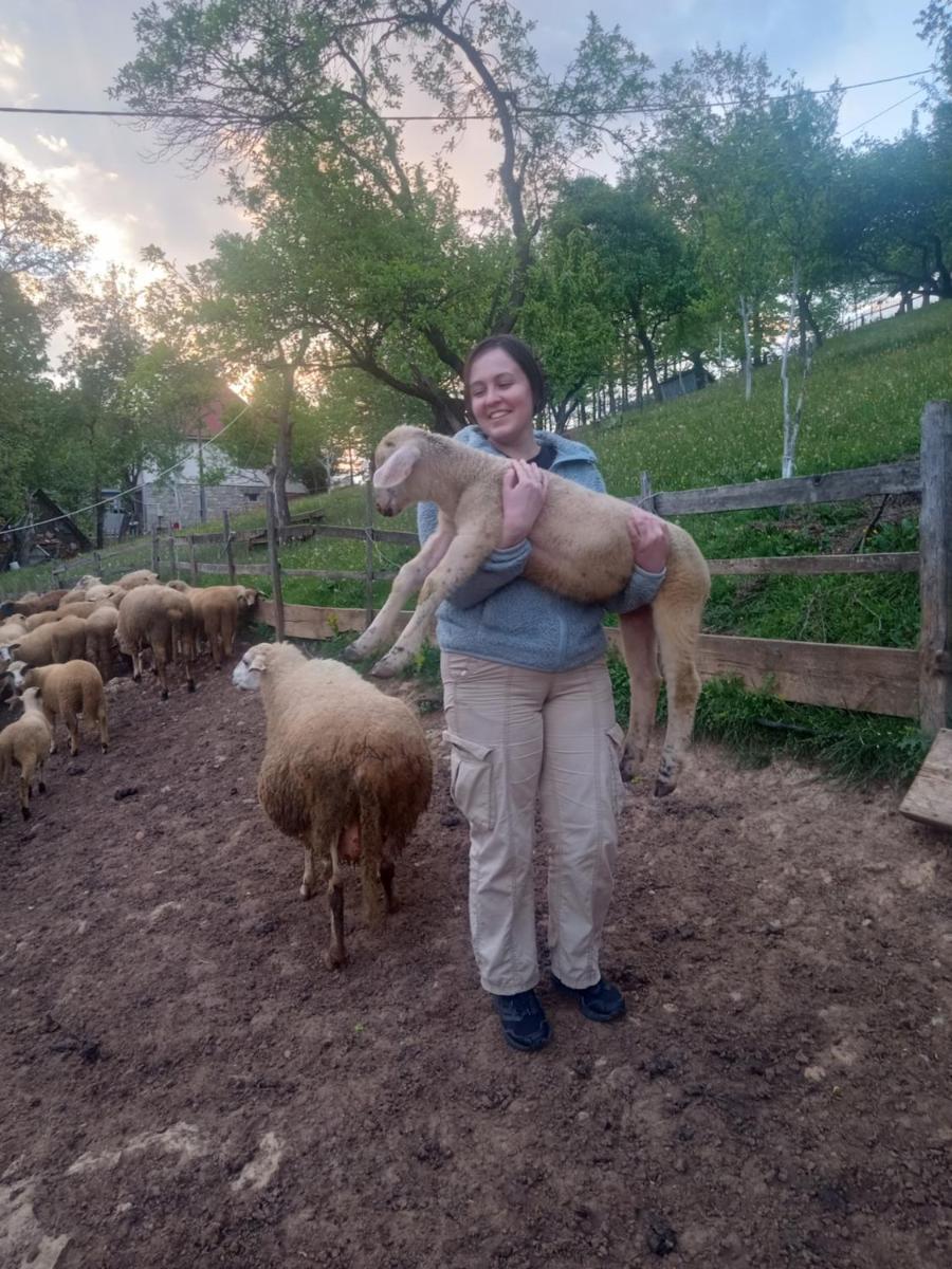 Family owned self sufficient ECO farm TARA - Housity