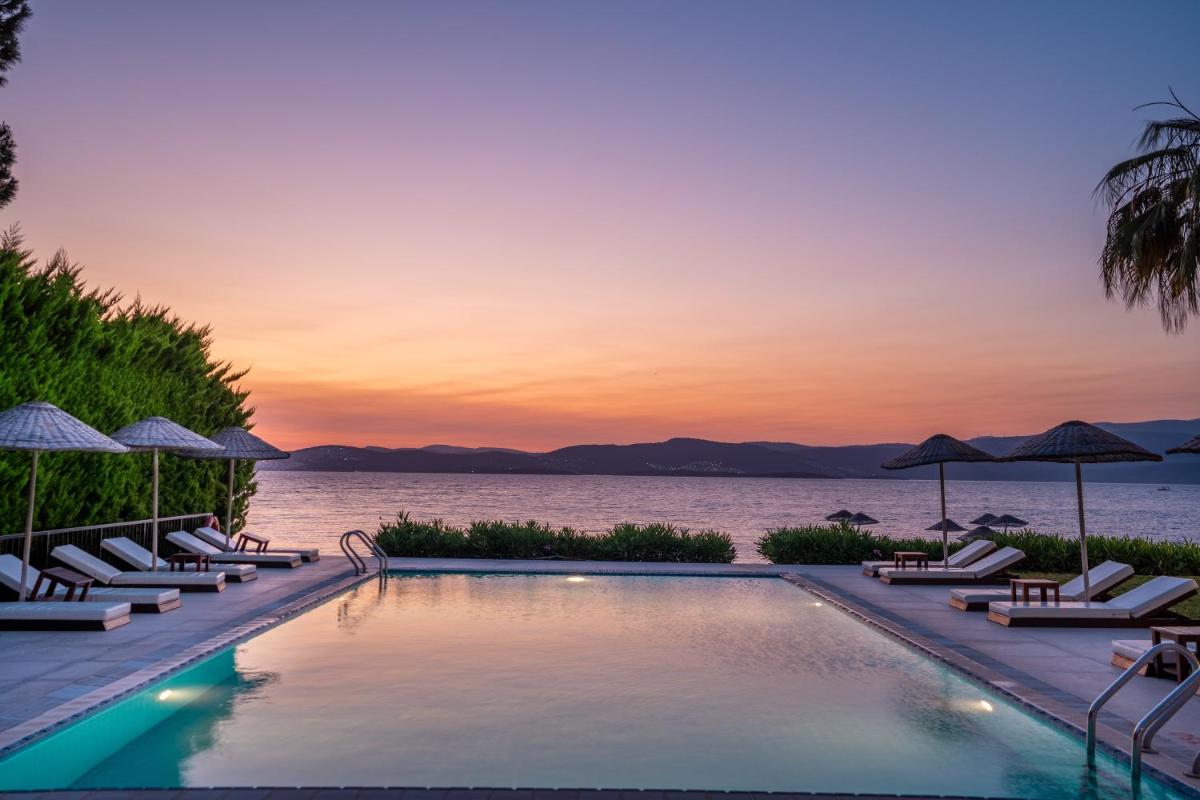 Med-Inn Hotel - Housity
