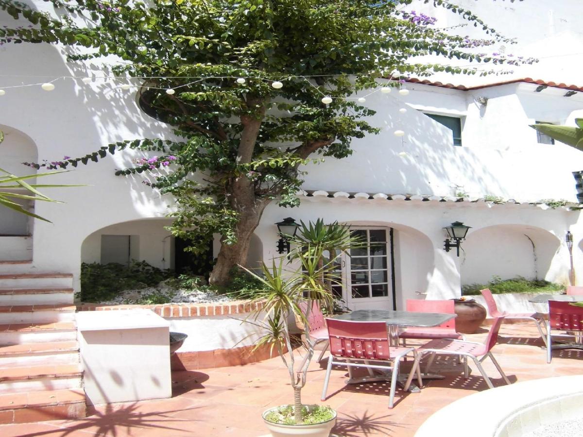 Hostel The White Butterfly - Housity