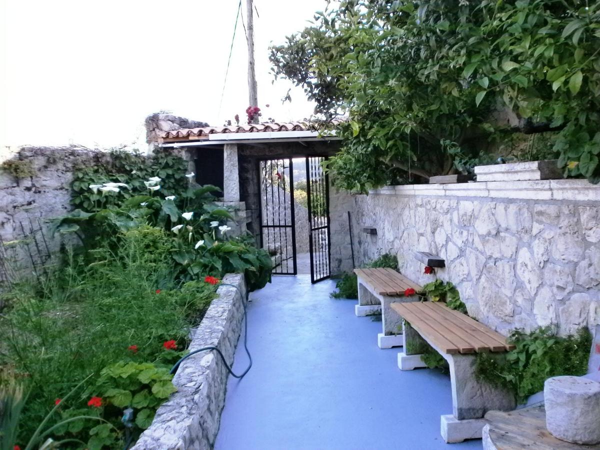 Apartments Ana Old Town - Housity