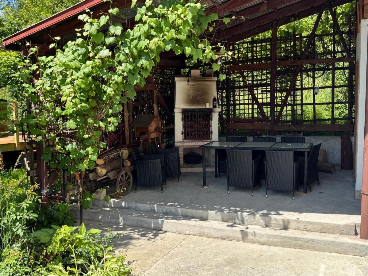 Dom w górach Saganówka Beskidy - Housity