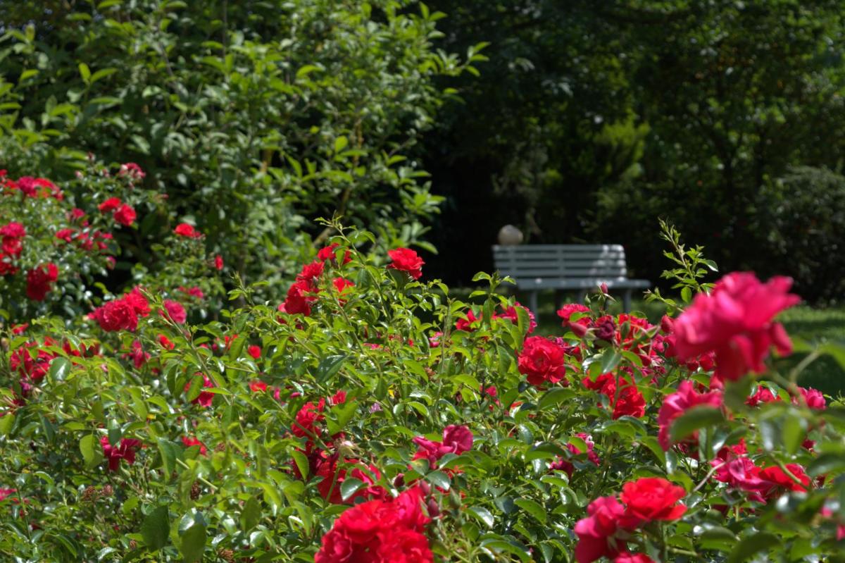 B&B Terra del Sole - Housity