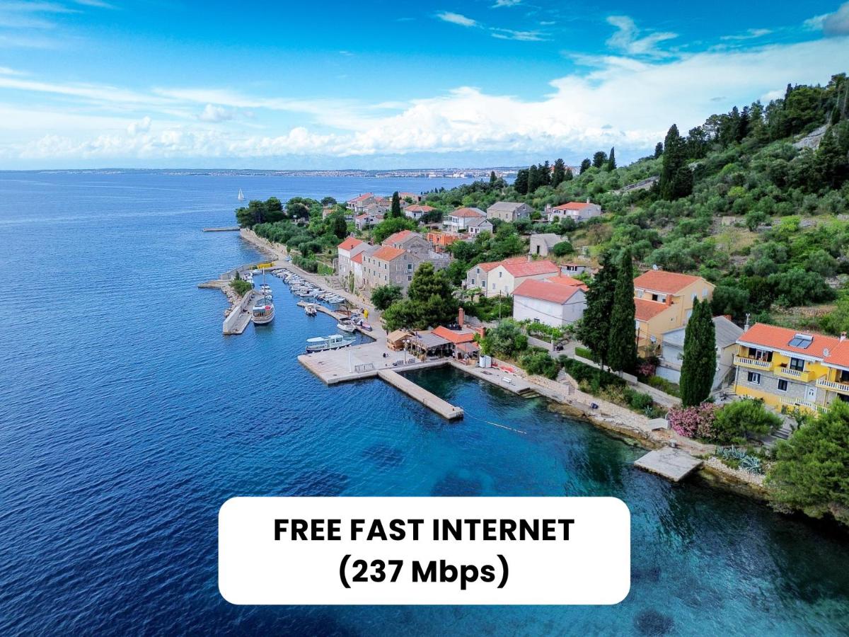 Apartments Osljak - Housity