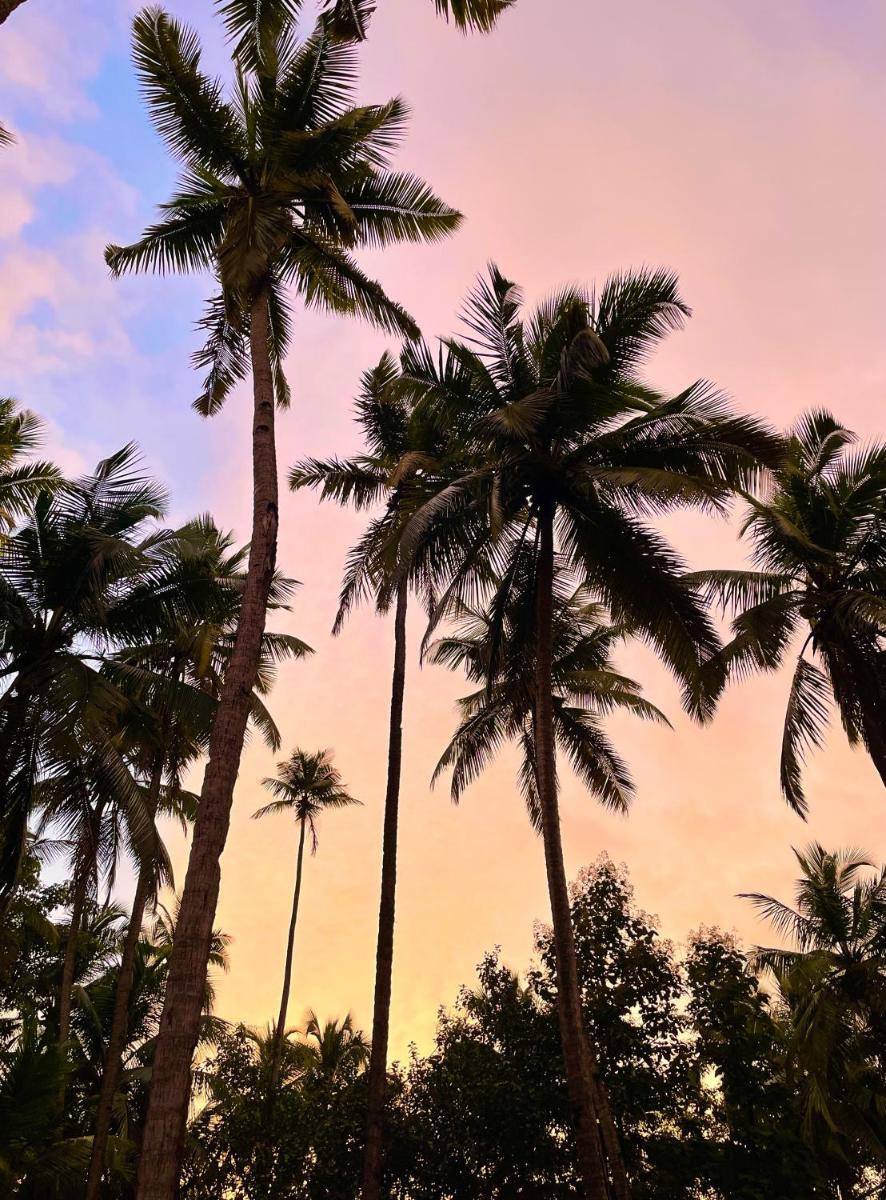 a group of palm trees in front of a sunset at The Postcard Cuelim, Goa in Cansaulim