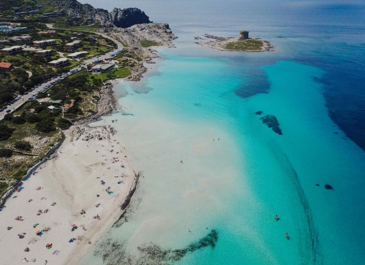 Villa Stintino - Housity