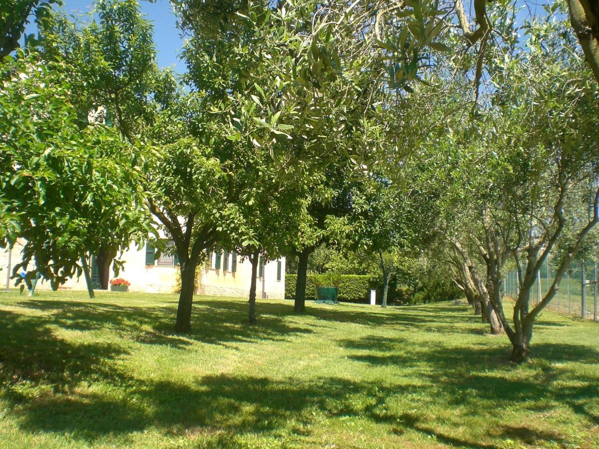 I Ciliegi - Housity