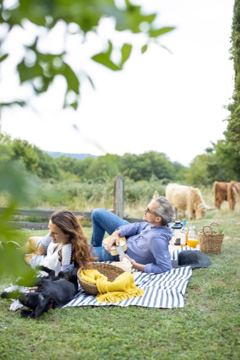 Domaine Les Lanternes - Housity