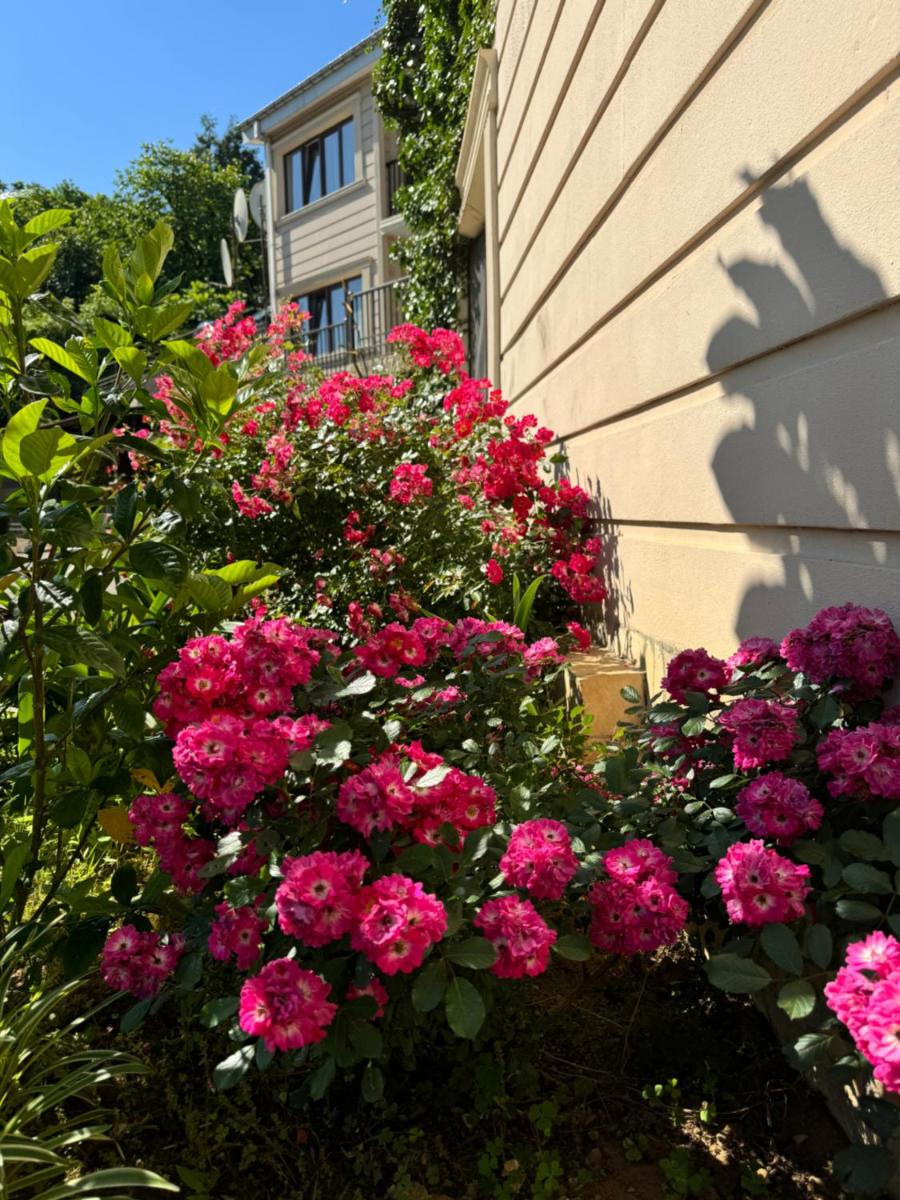 SV Hotel Batumi - Housity