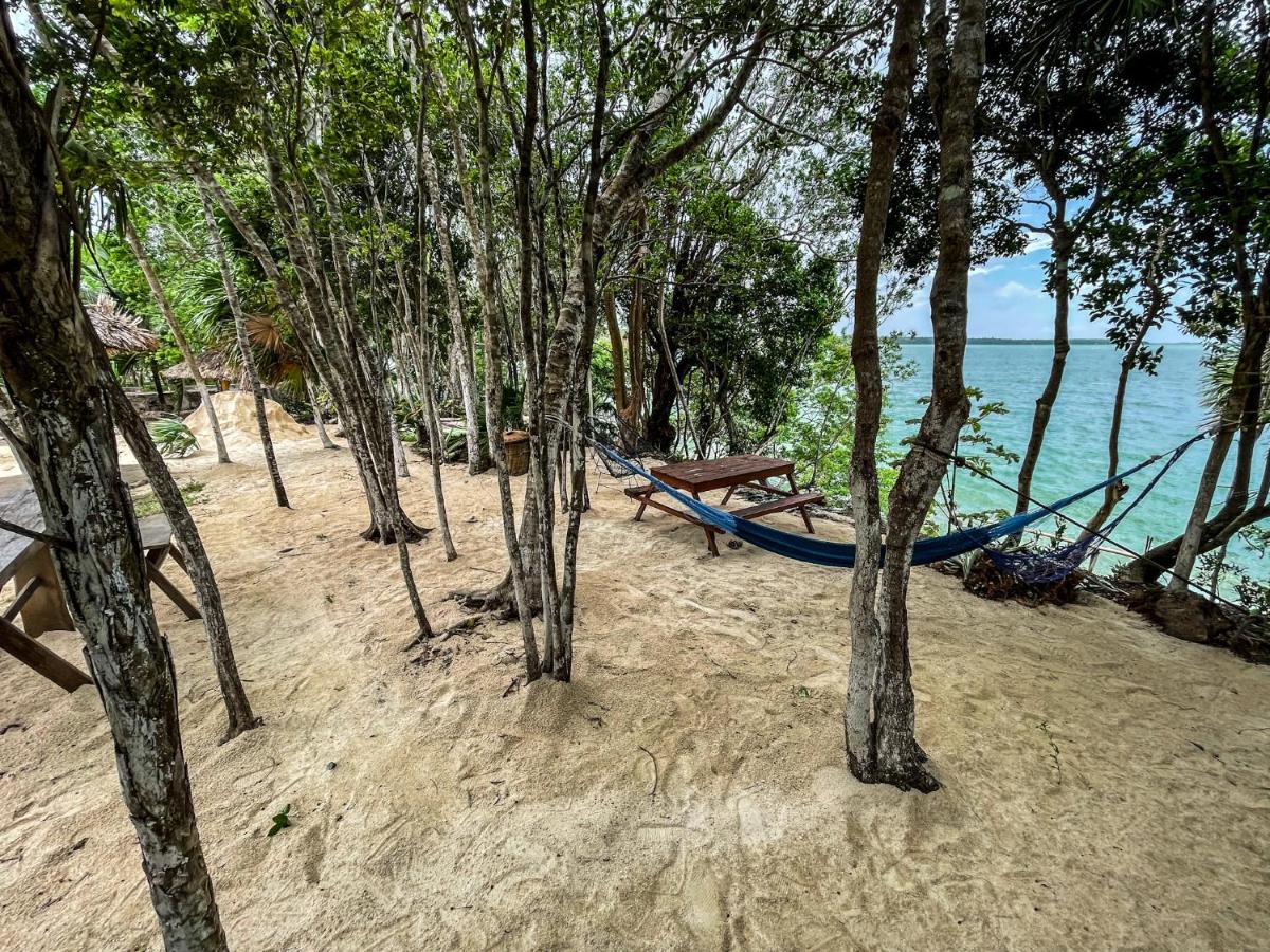 Bufo Alvarius Sanctuary Bacalar - Housity