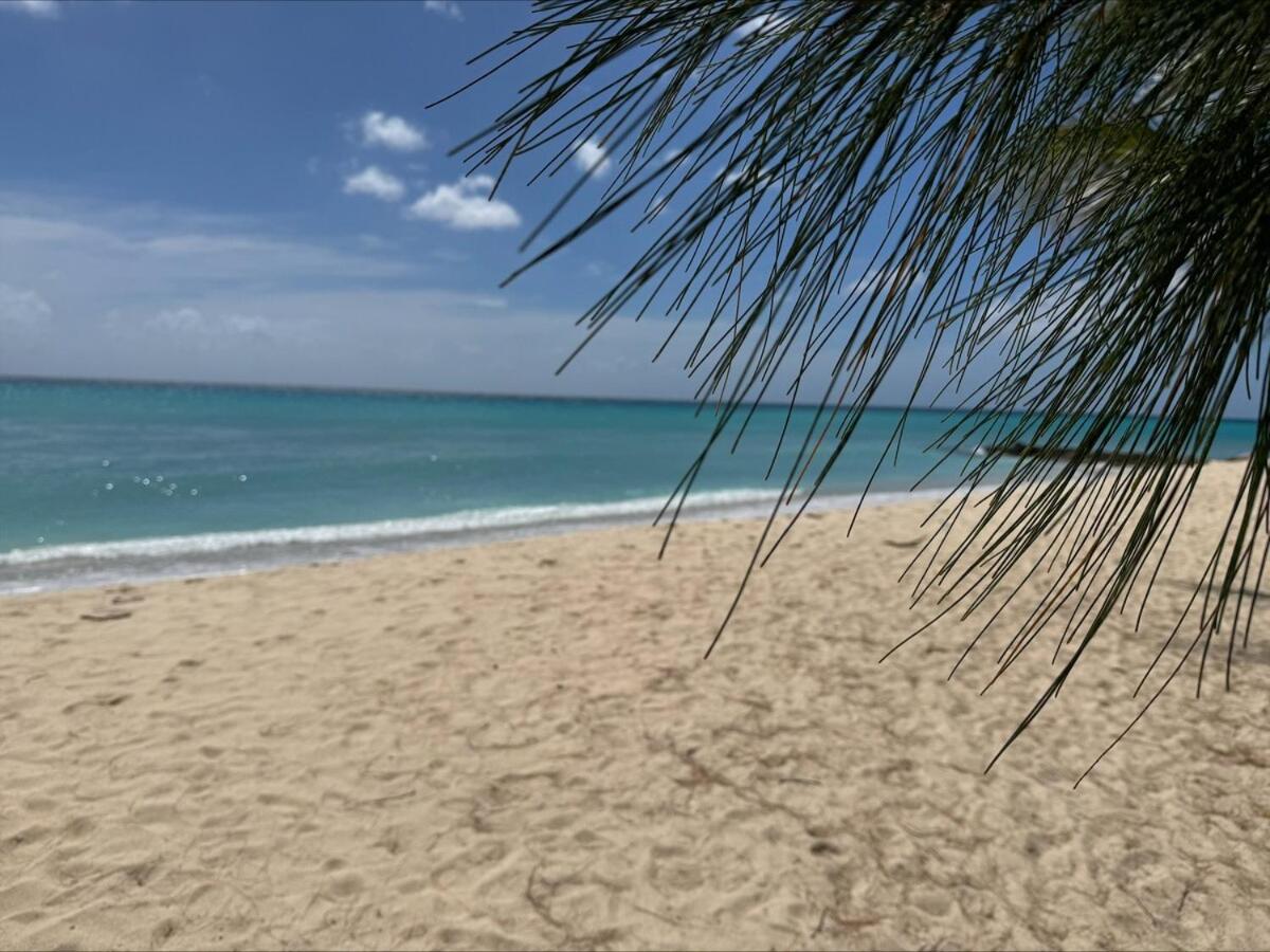 401 Terraces Ocean View Penthouse - Housity