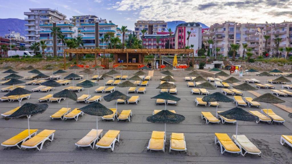 Bieno Club Svs Hotel - Housity