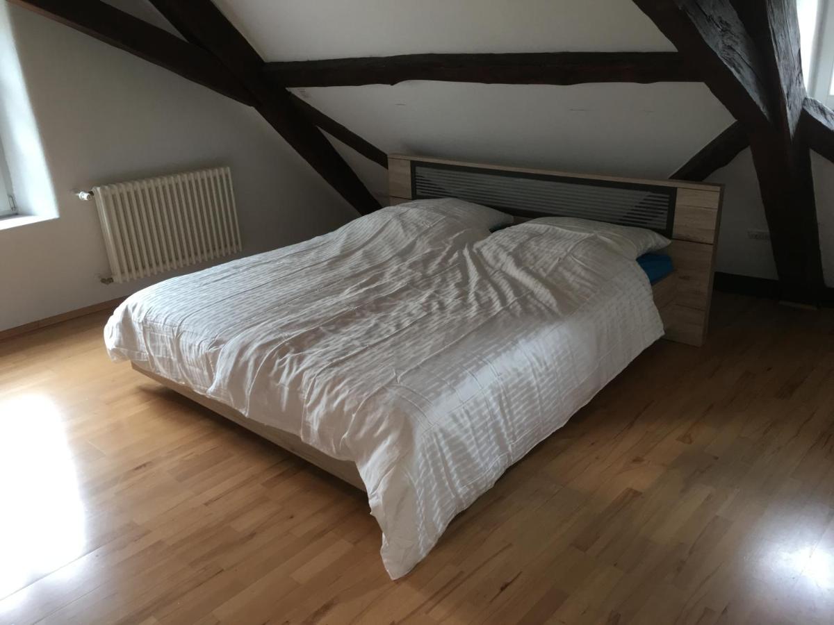 Kaiserslautern Apartment - Hizvo