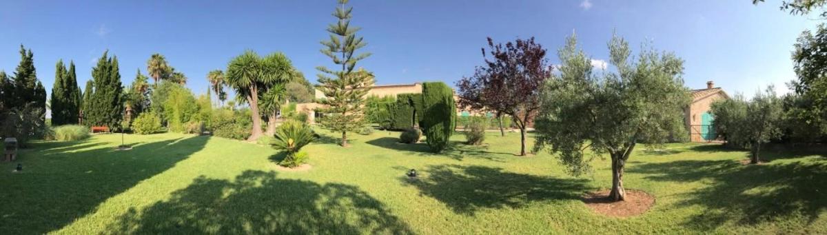 Jardín al aire libre en Sa Cabana Hotel & Spa - Adults Only