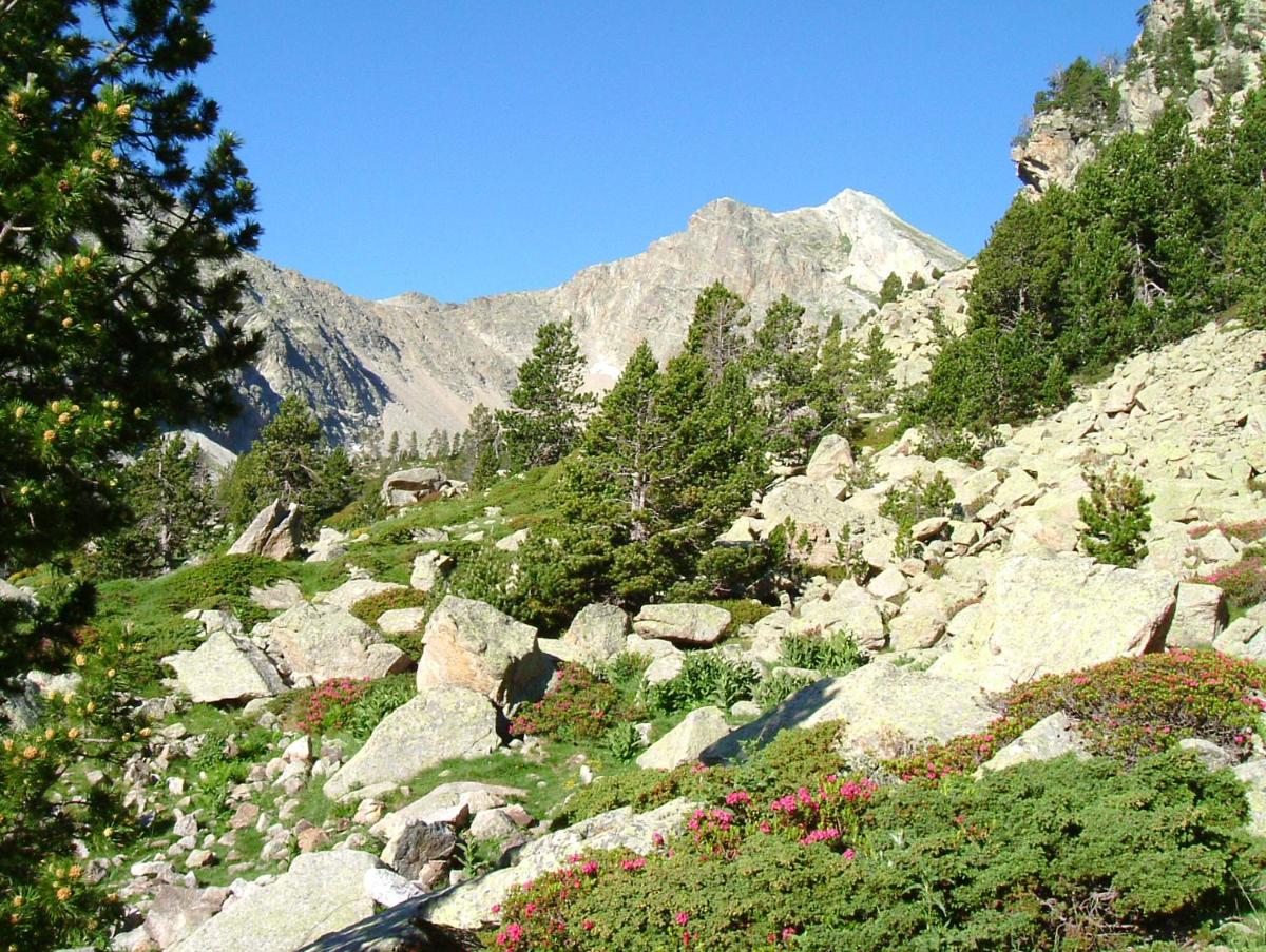 Paisaje cerca de este hotel