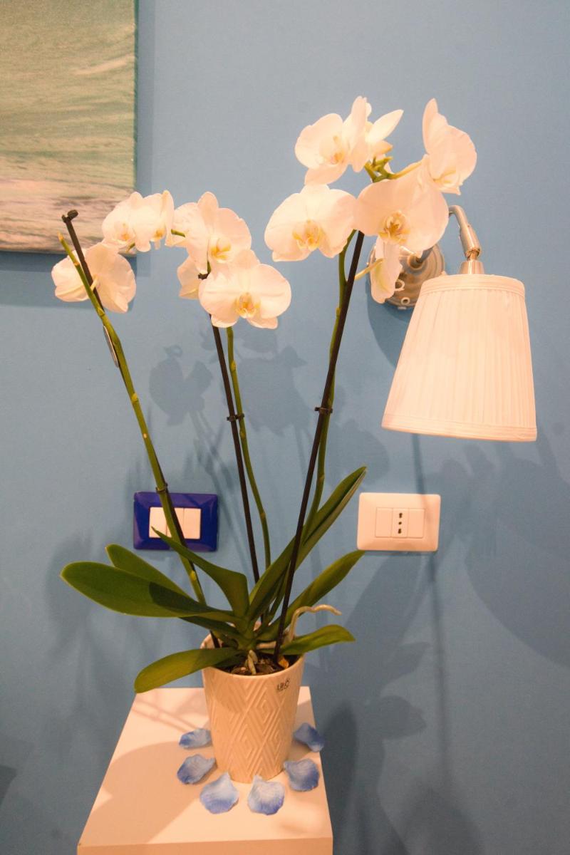 Etere in Prati Rooms - Housity