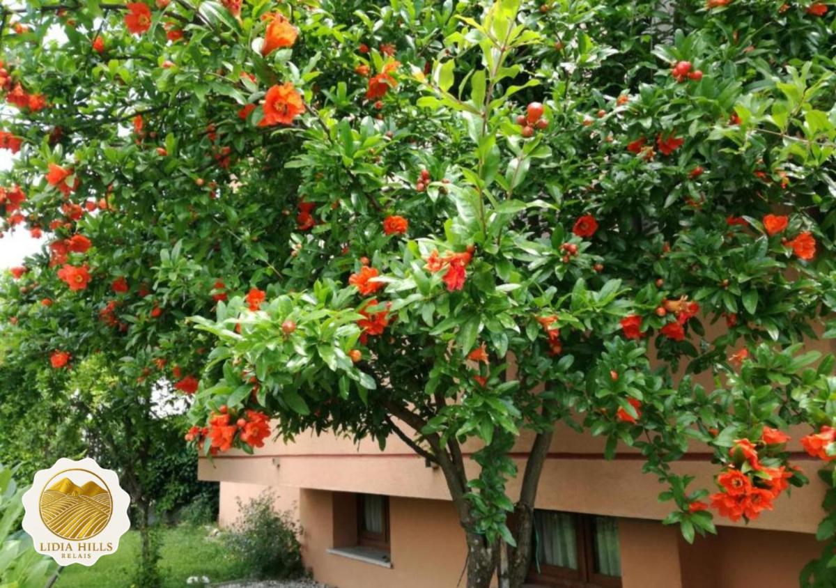 Lidia Hills Relais - Valdobbiadene-Segusino - Housity