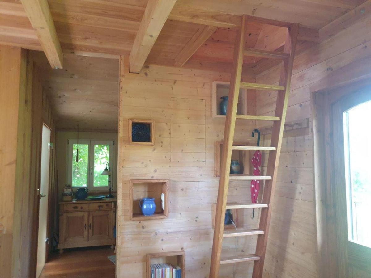 Sonniges-naturnahes-Schwarzwald-Ferienhaeuschen - Housity
