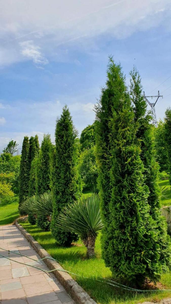 Guest house Ijevan's Garden - Housity