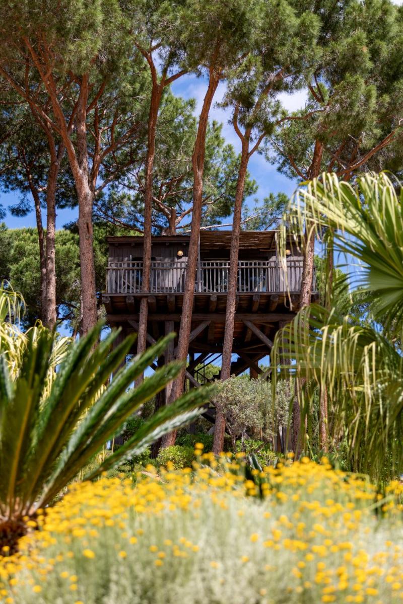 Jardin de l'établissement La Signoria & Spa