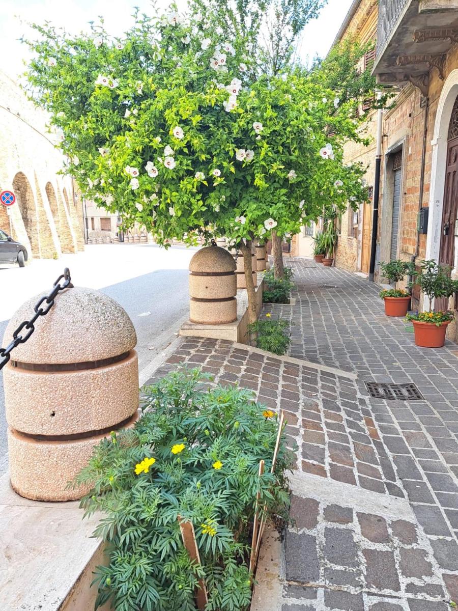 CINQUE TORRI AFFITTACAMERE - Housity