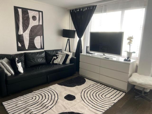 Big Suite Studio - Hizvo