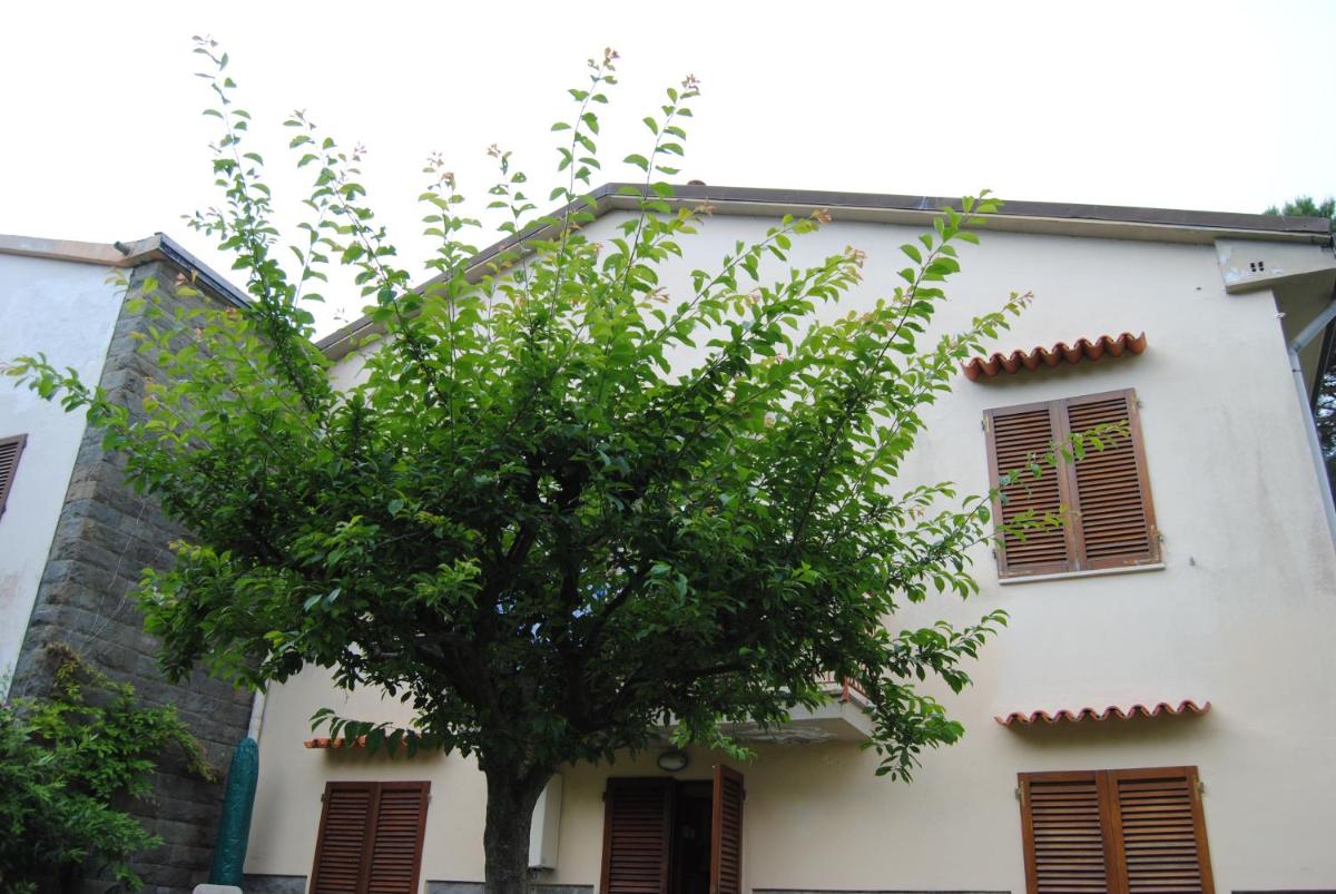 Il Susino - Housity