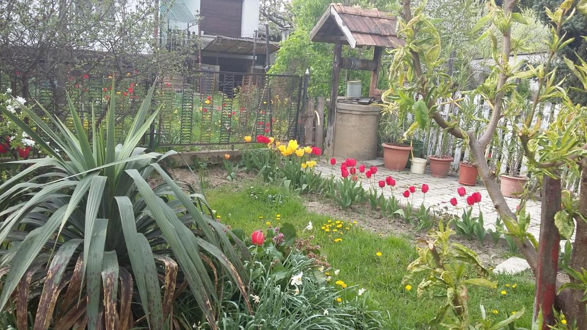 Álom Kuckó Apartman - Housity