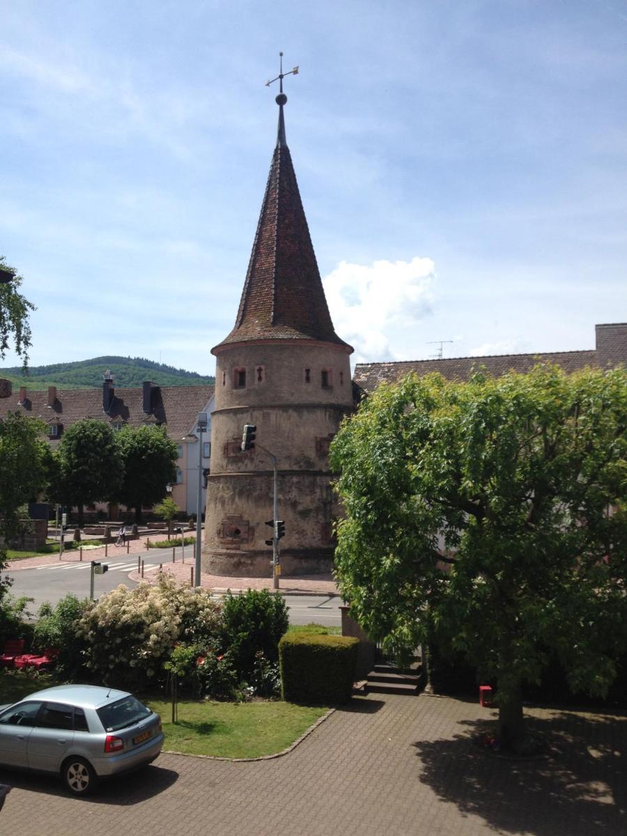 Gîte Sonnenberg - Housity