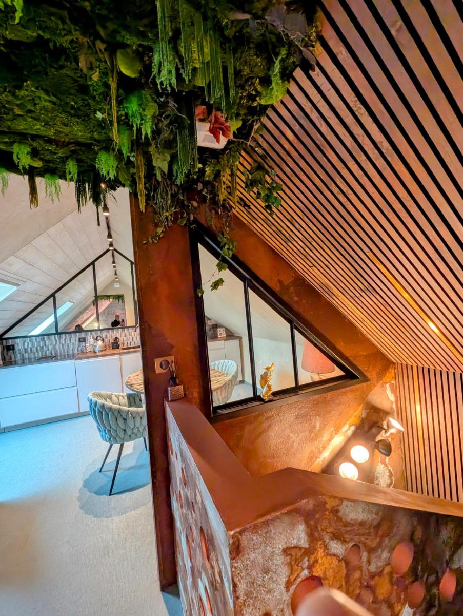 Les suites du Bouddha Bleu - Housity