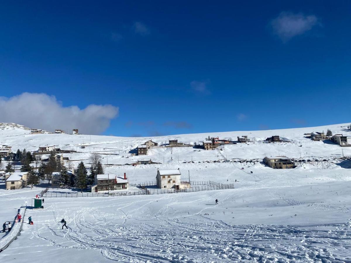 La casa nel bosco-guest house Filettino - Housity