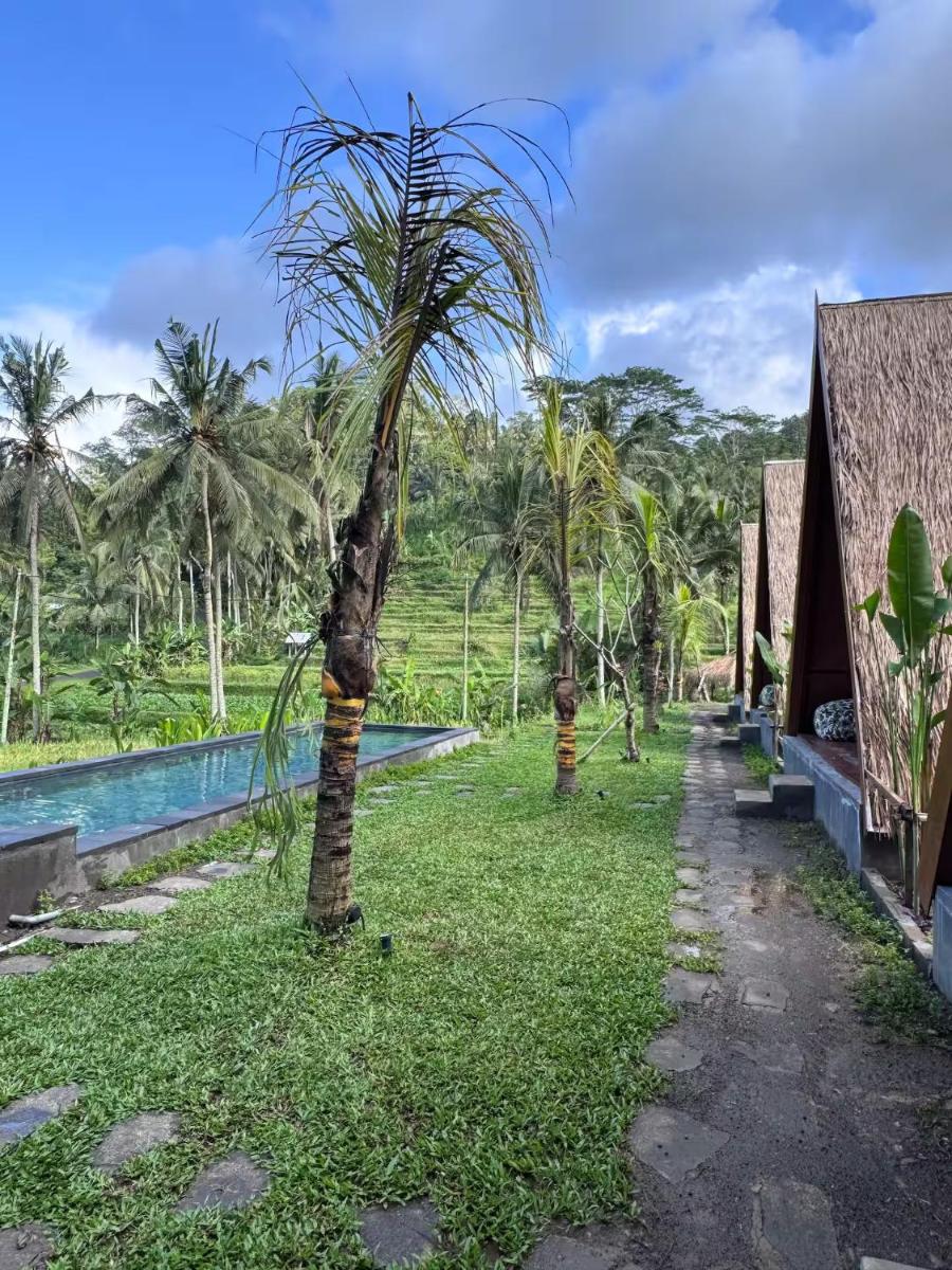 Natural View Sidemen - Housity