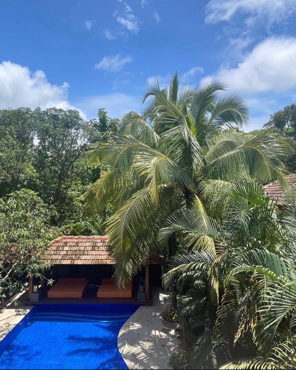 a resort with a palm tree and a swimming pool at The Postcard Saligao in Calangute