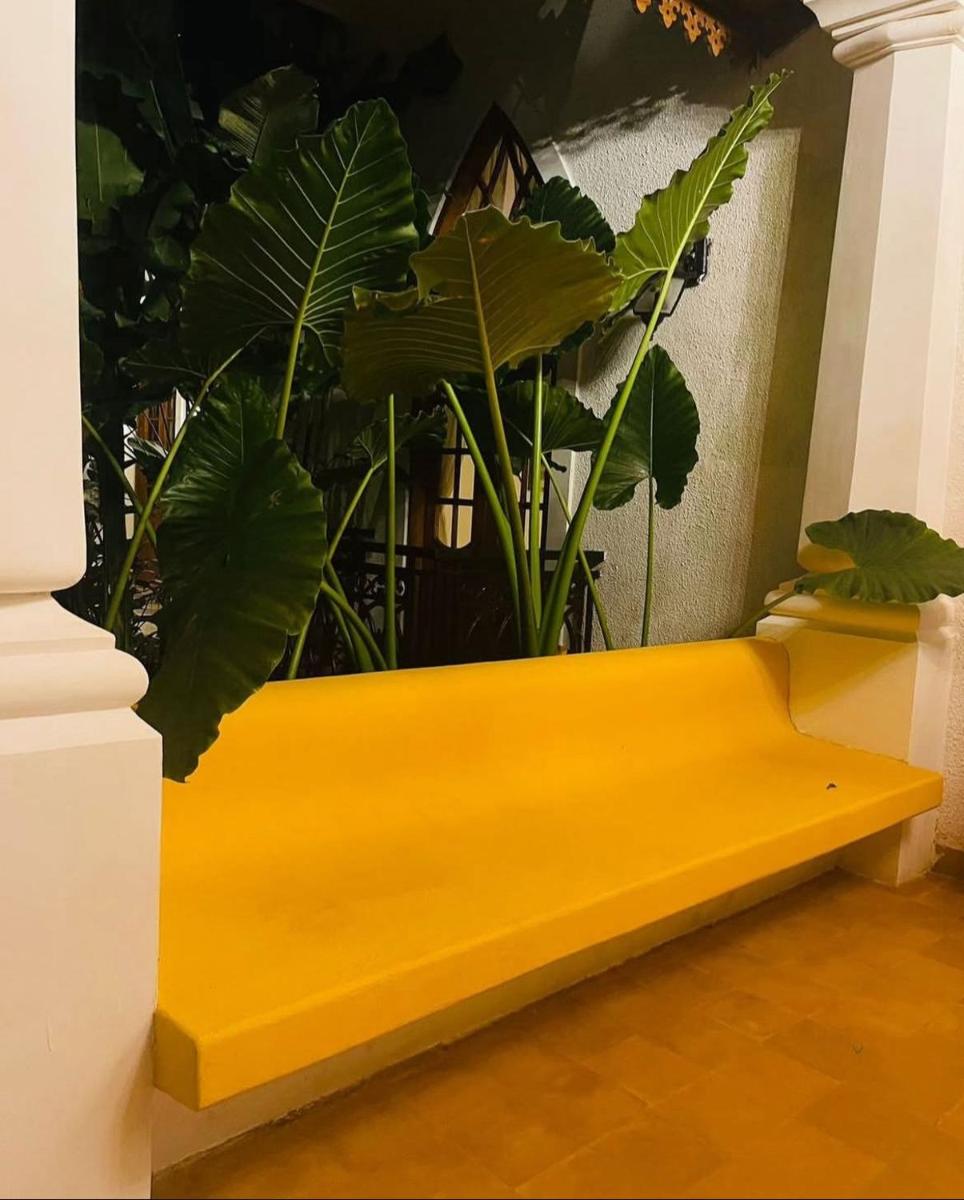 a yellow bench in a room with plants at The Postcard Saligao in Calangute