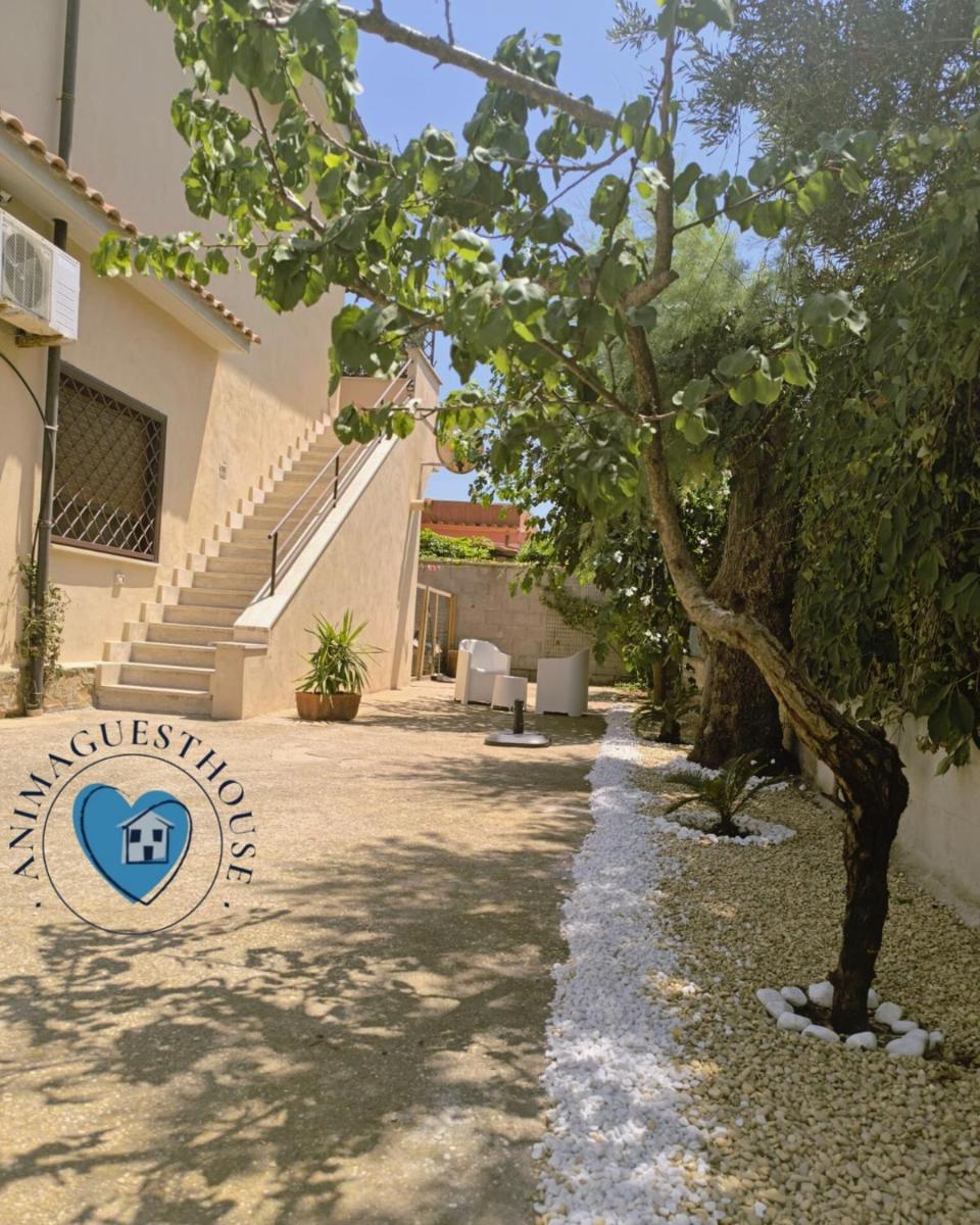 Anima Guest House - Housity