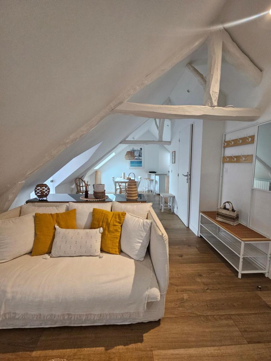 Santorin, Appartement lumineux au coeur de Vannes - Hizvo