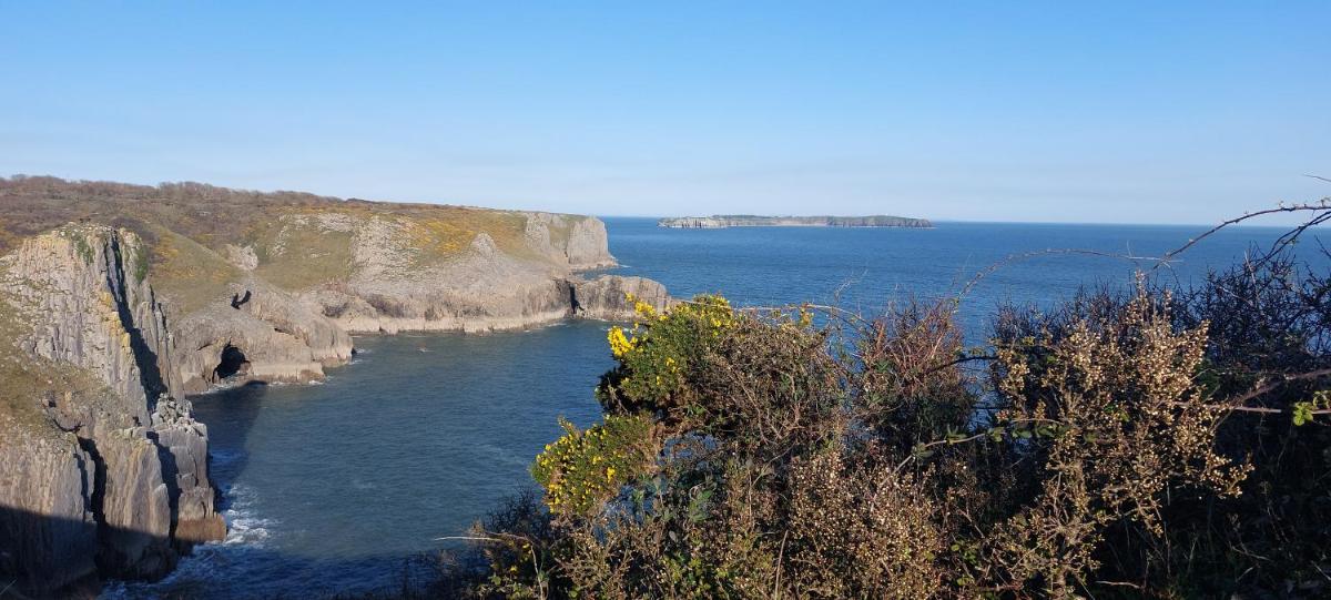 Raymond House B&B Penally, Tenby - Housity